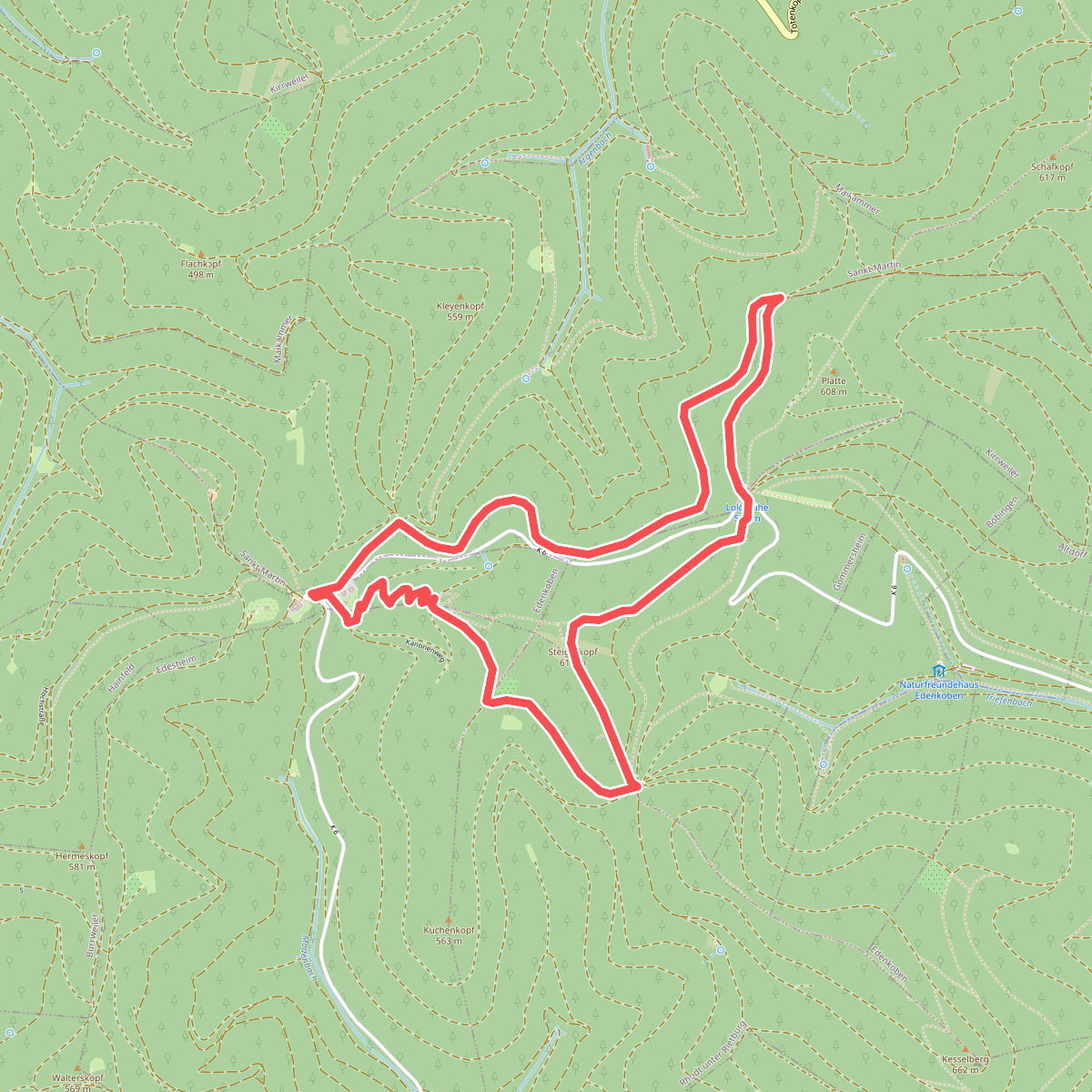 Edenkoben Naturparkweg 6