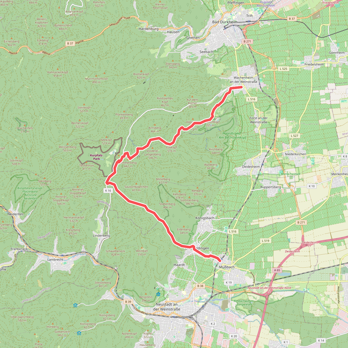 Pfälzerwald Rotes Dreieck