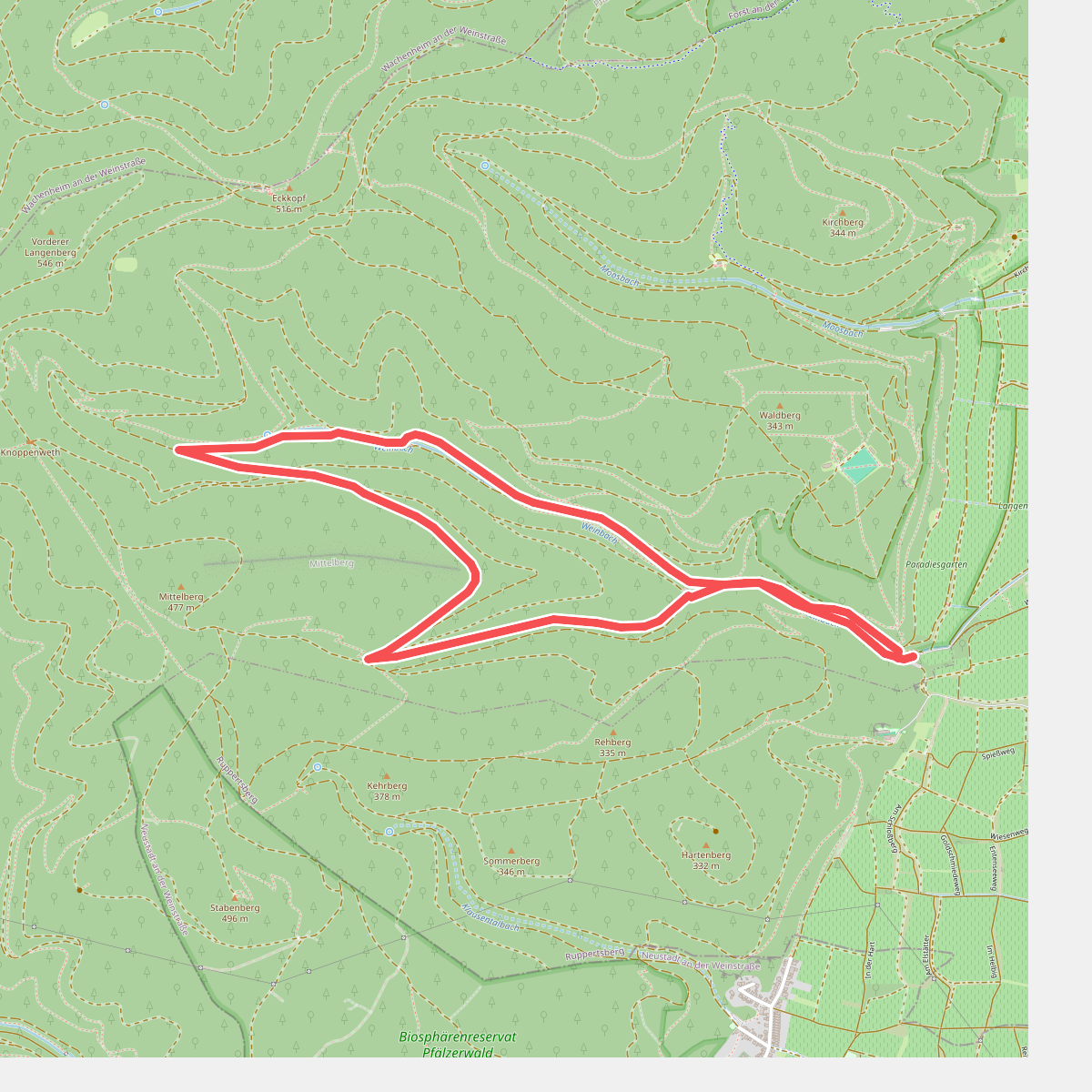 Rundwanderweg 6