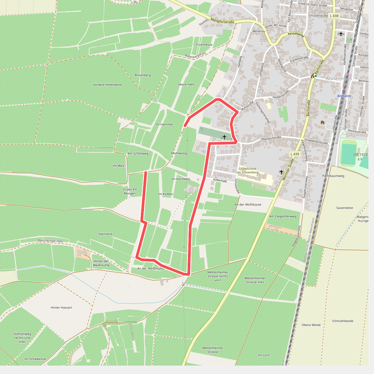 Alsheim 4+: