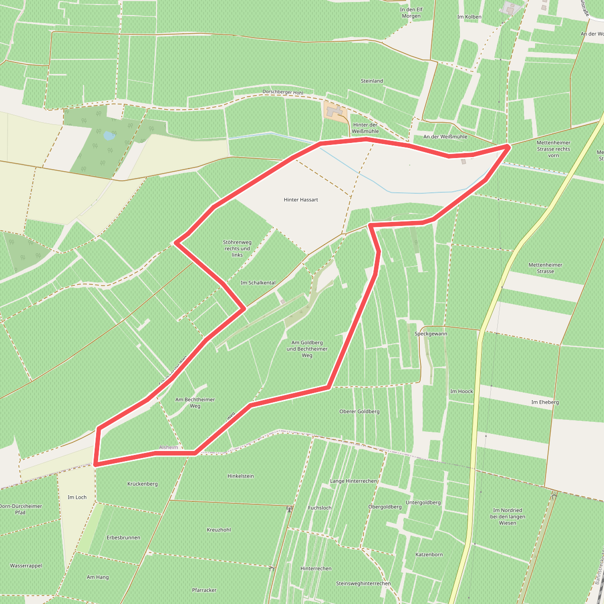 Alsheim 6: Goldbergshohlweg