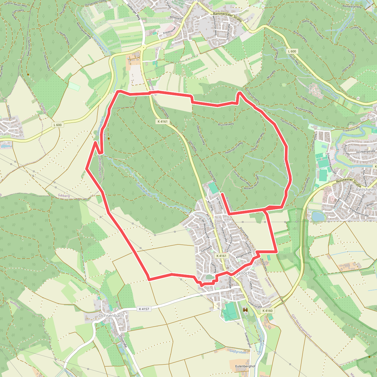 Rundwanderweg Gauangelloch 2: Jägerspfad