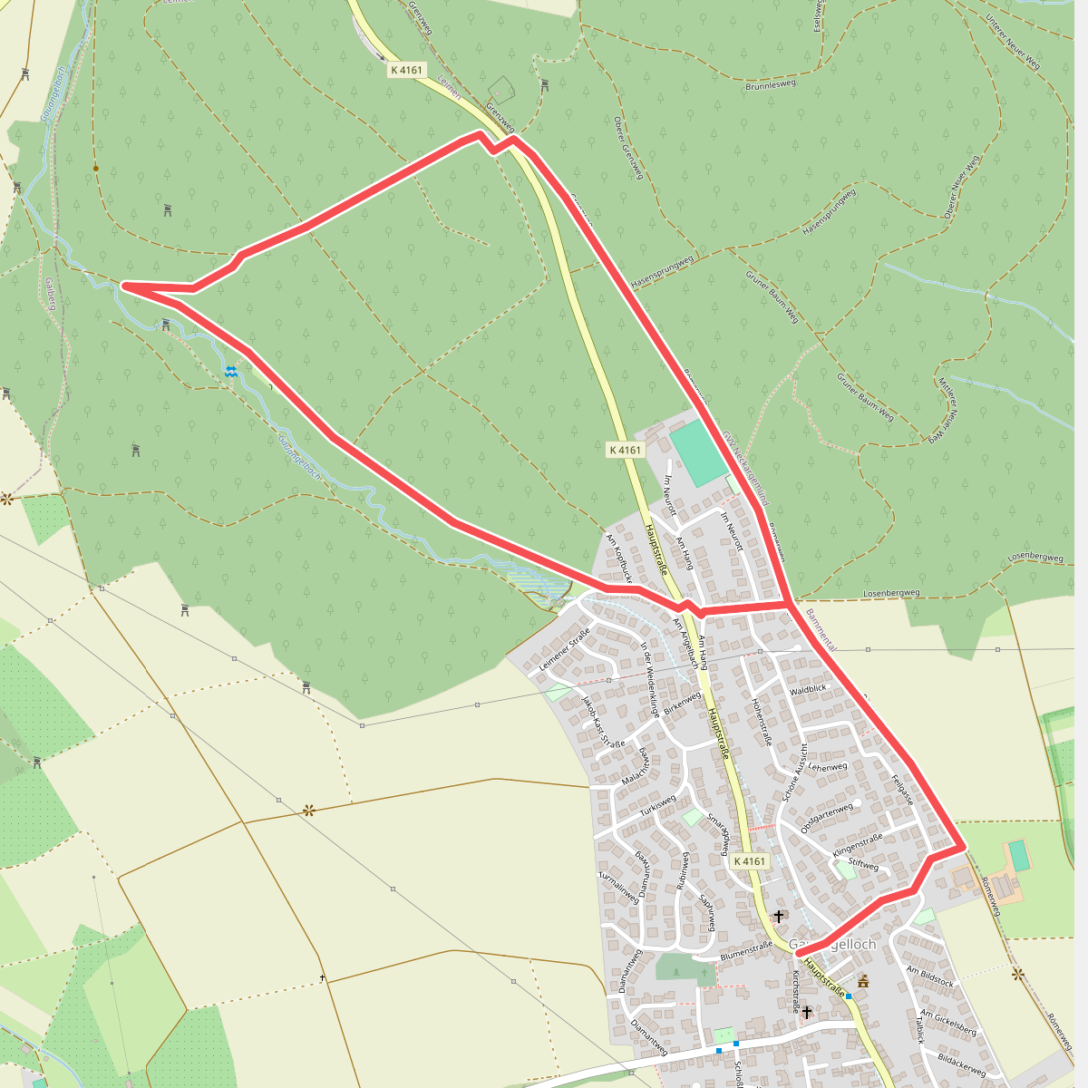 Rundwanderweg Gauangelloch 3: Teichweg