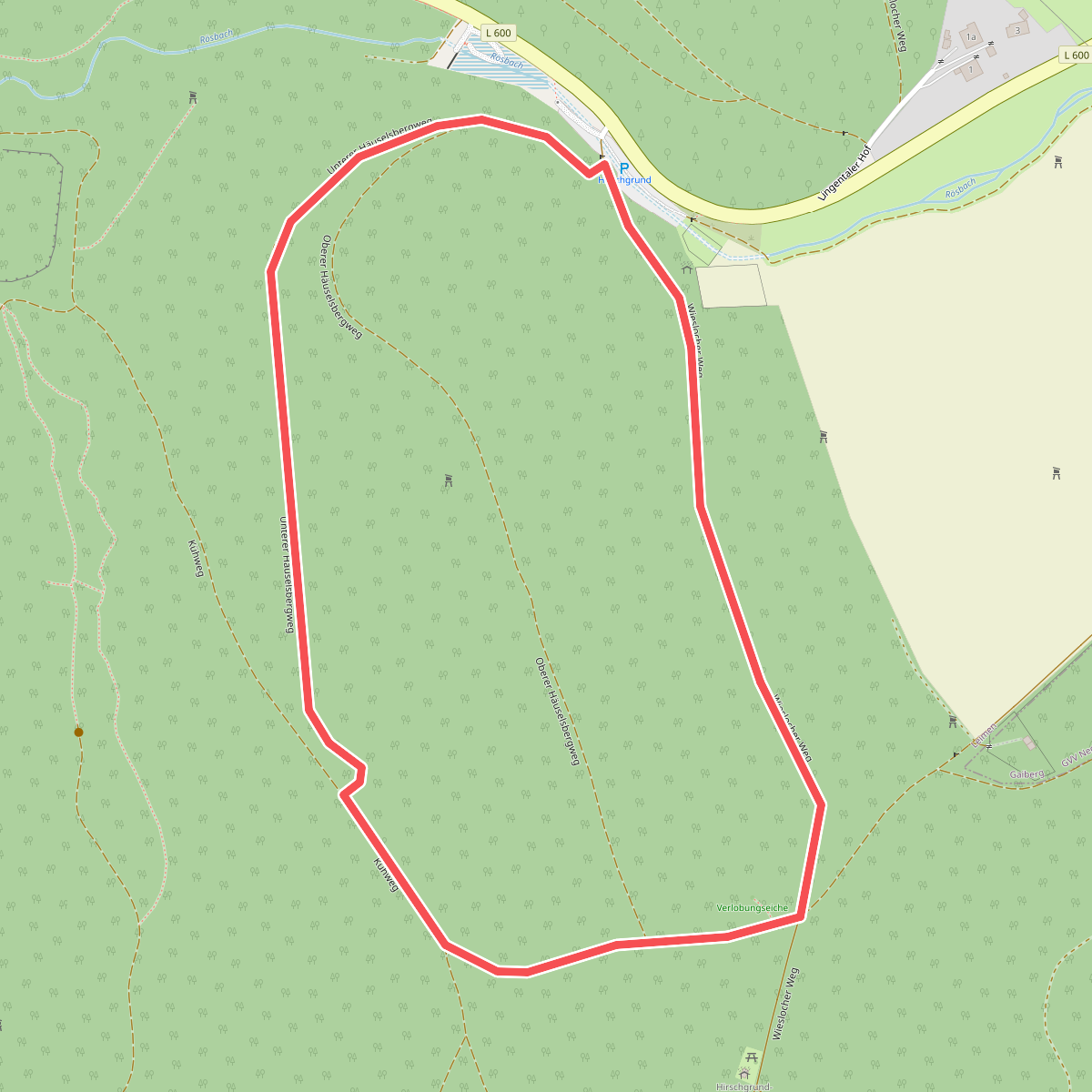 Rundwanderweg Hirschgrund 9: Hirschgrund-Weg