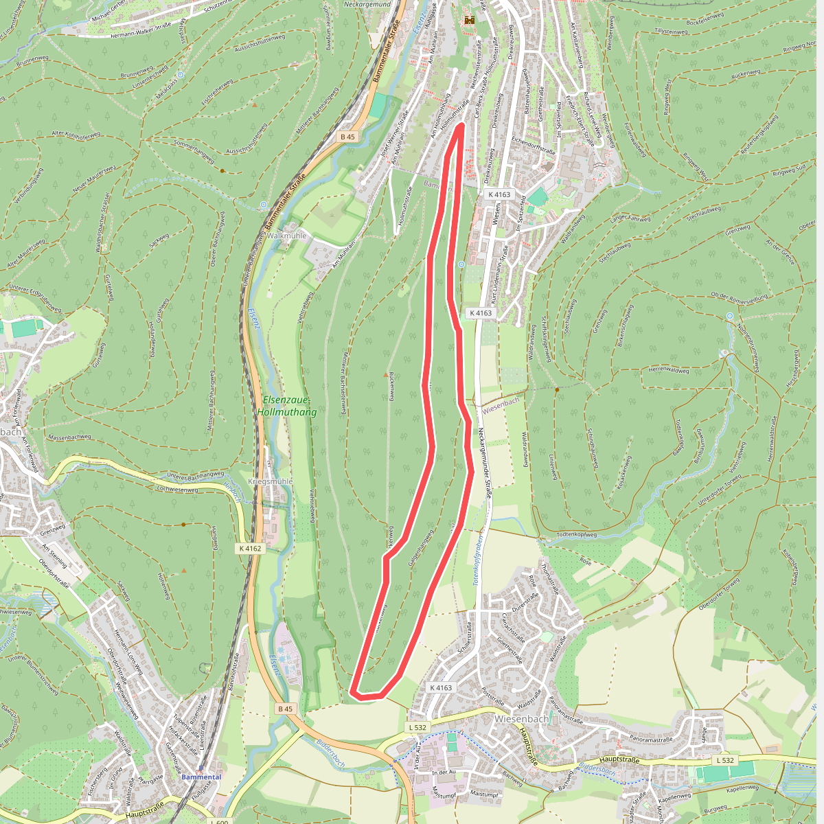 Rundwanderweg Drei-Hasen-Hütte 1: Bannwald-Weg