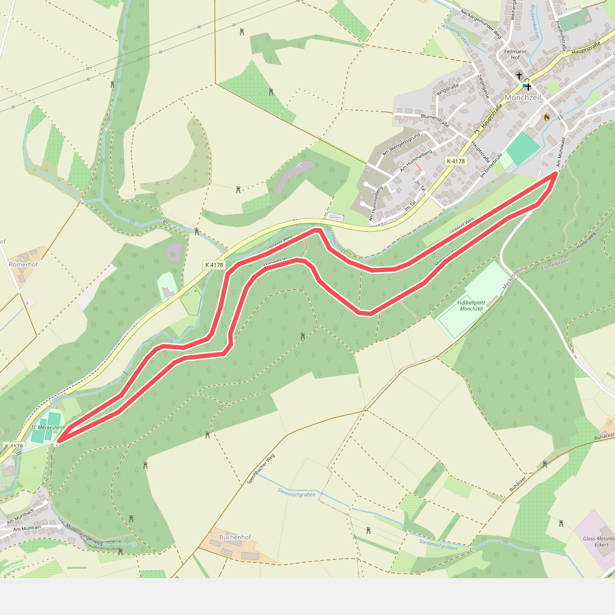 Rundwanderweg Meckesheim Buchwald 5: Buchwald-Weg