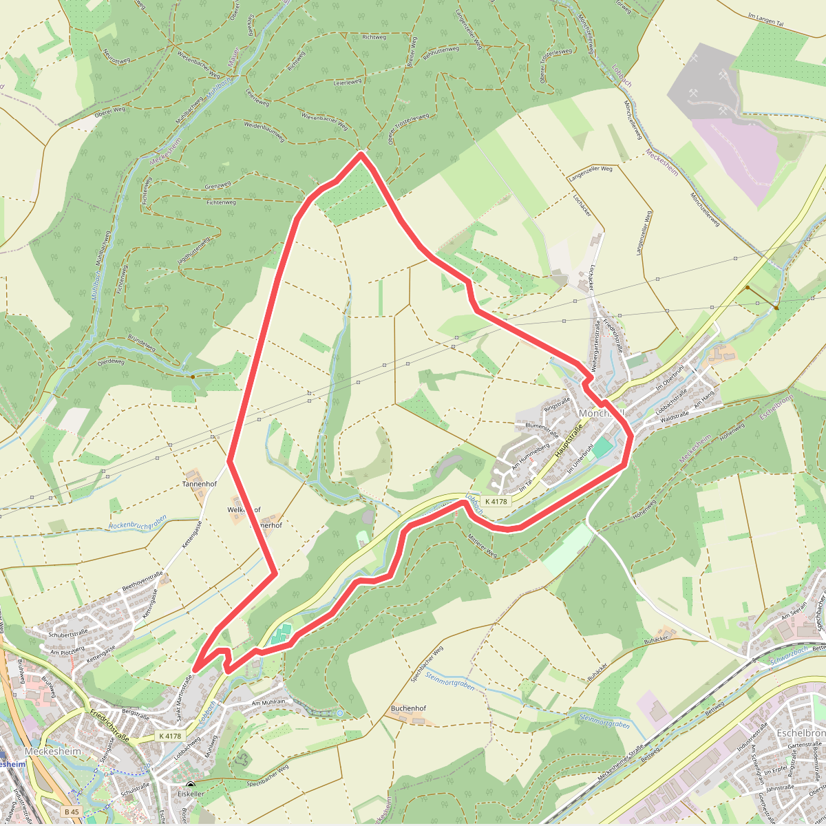 Rundwanderweg Meckesheim Buchwald 7: Salzberg-Weg