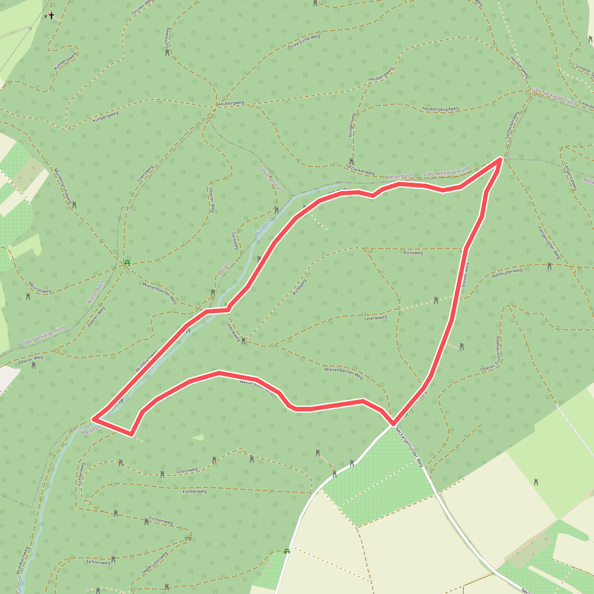 Rundwanderweg Meckesheim Salzberg 3: Heuberg-Weg