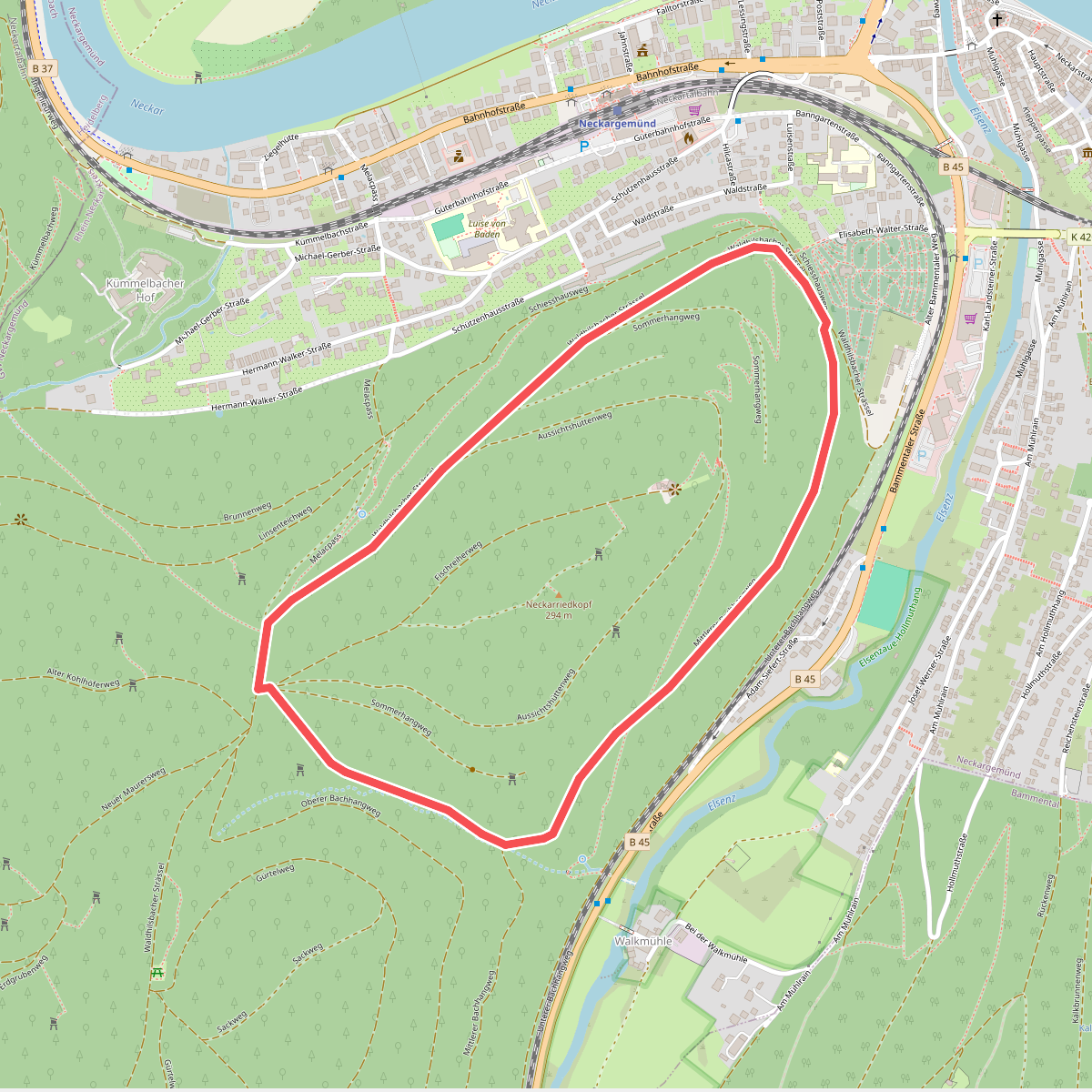 Rundwanderweg Neckarriedkopf 7