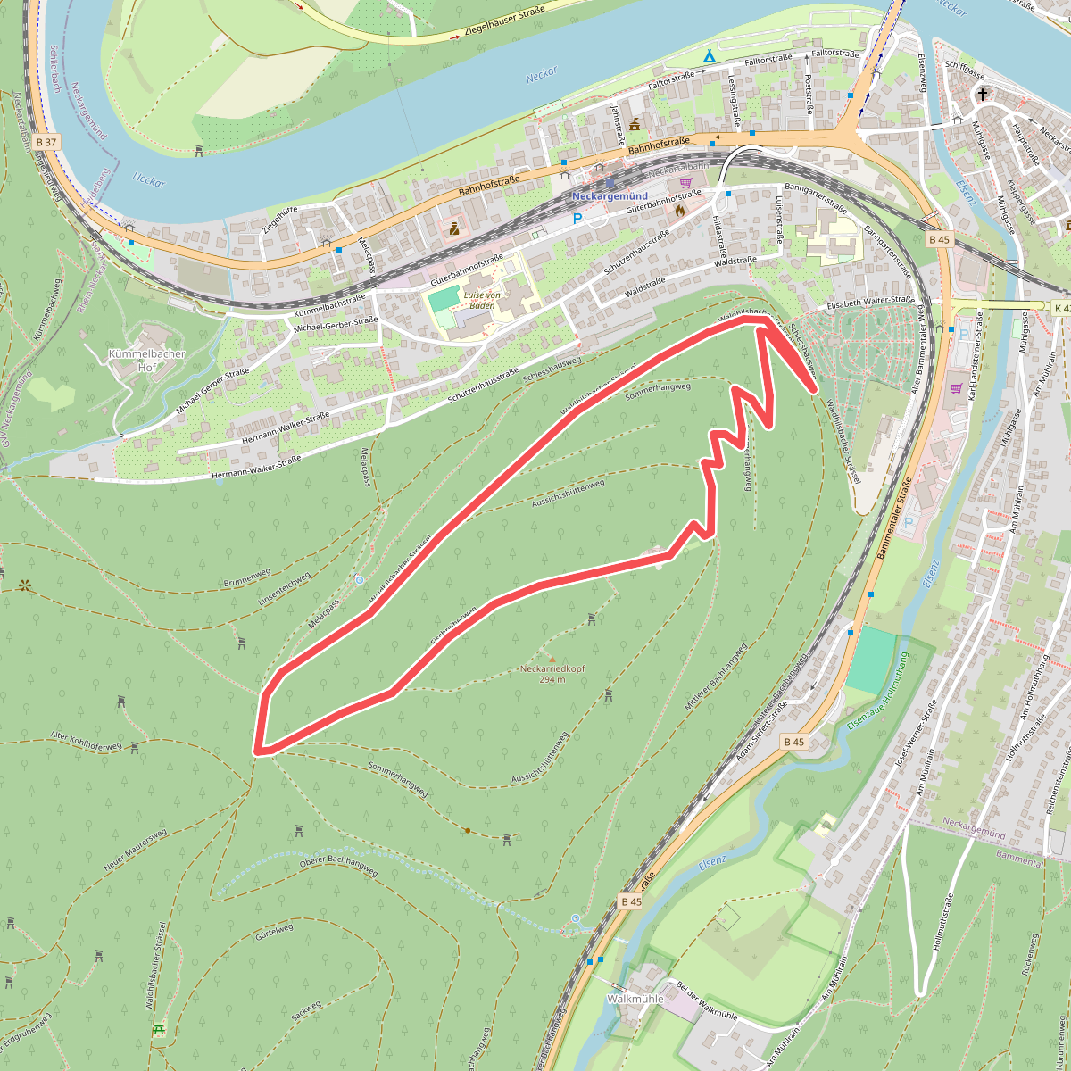 Rundwanderweg Neckarriedkopf 8