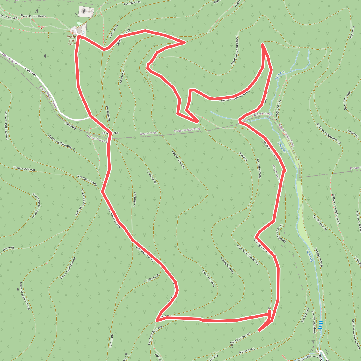 Rundwanderweg Dossenheim Weißer Stein 10: Centwald-Weg