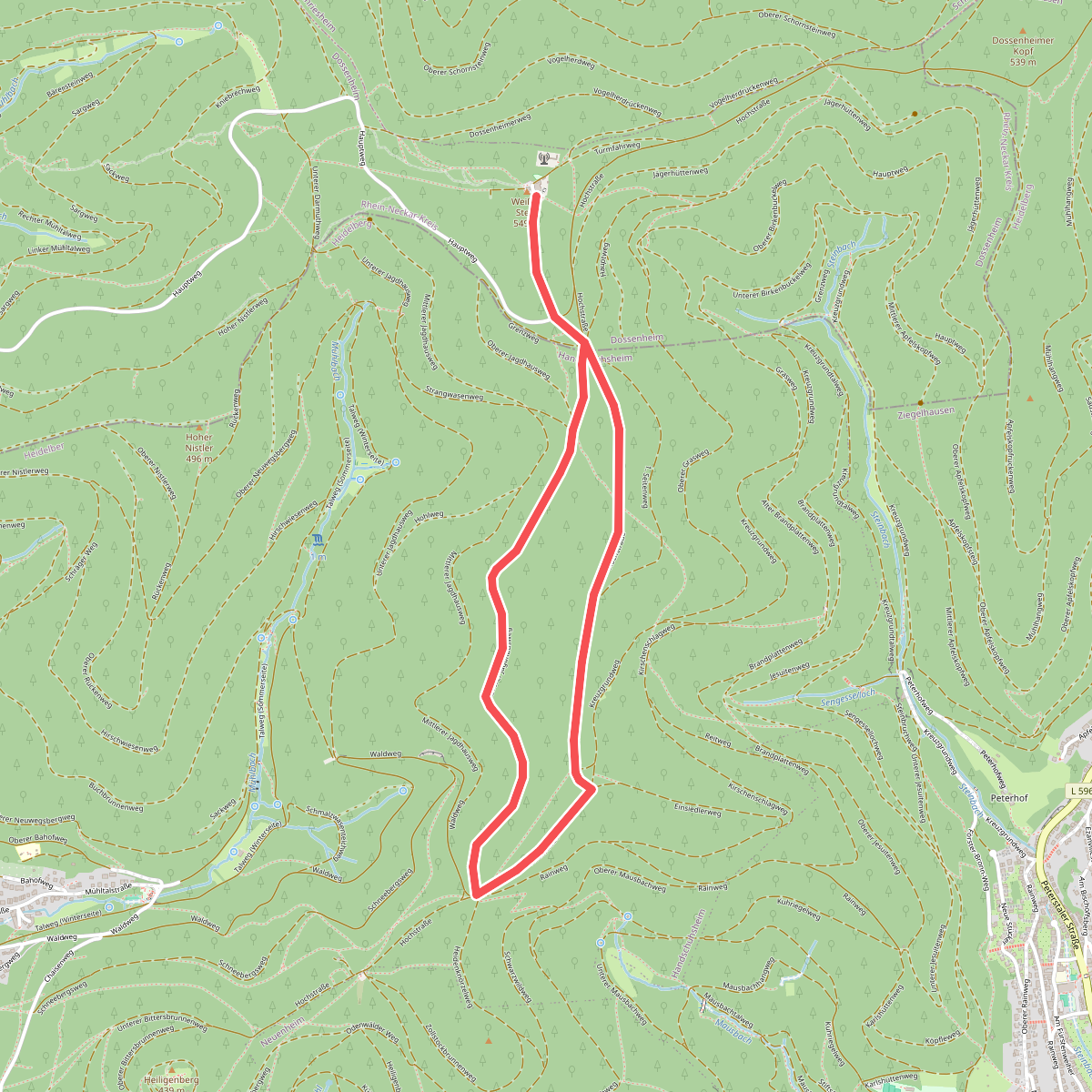 Rundwanderweg Dossenheim Weißer Stein 9: Hirschhang Weg