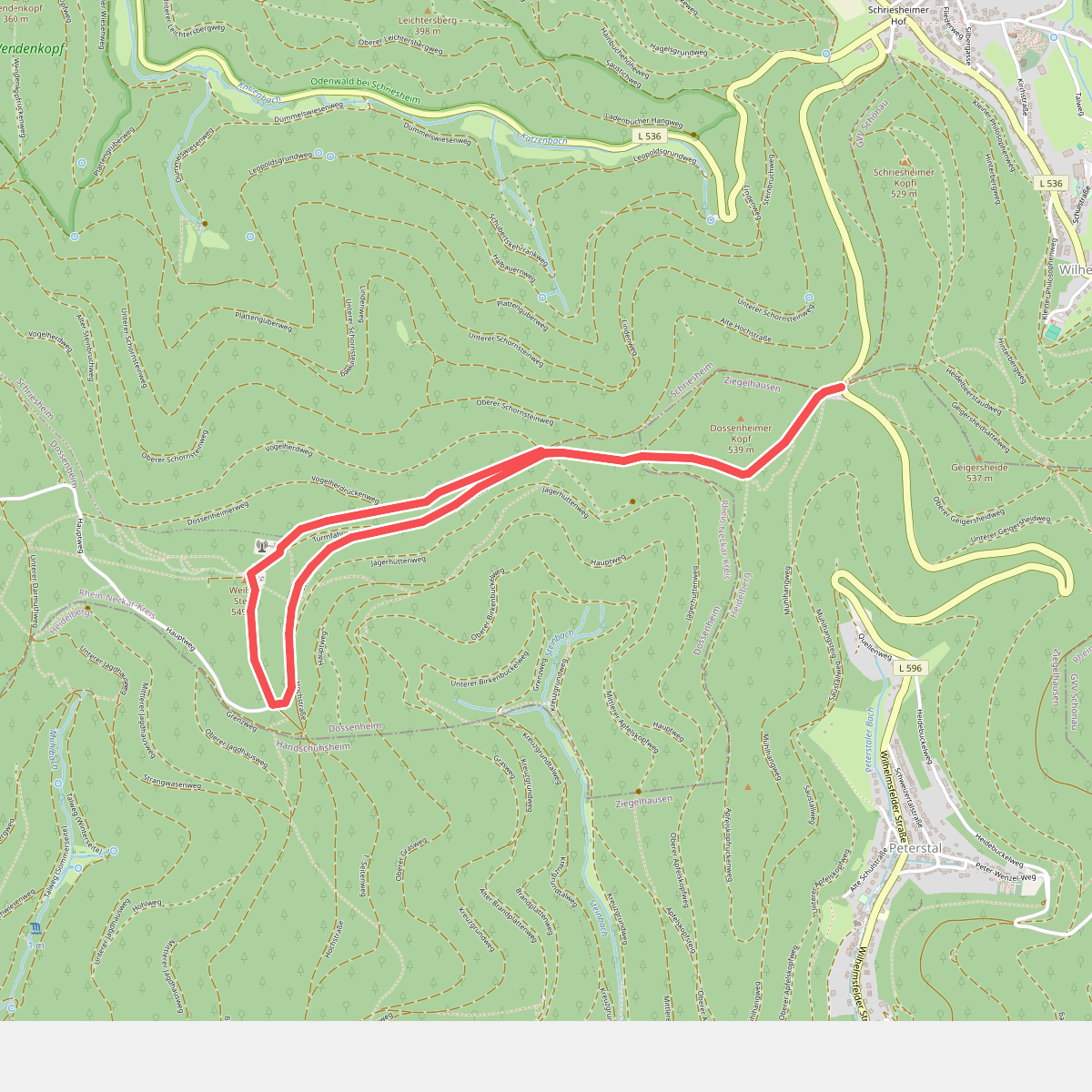 Rundwanderweg Wilhelmsfeld 10 : Weißer-Stein-Weg