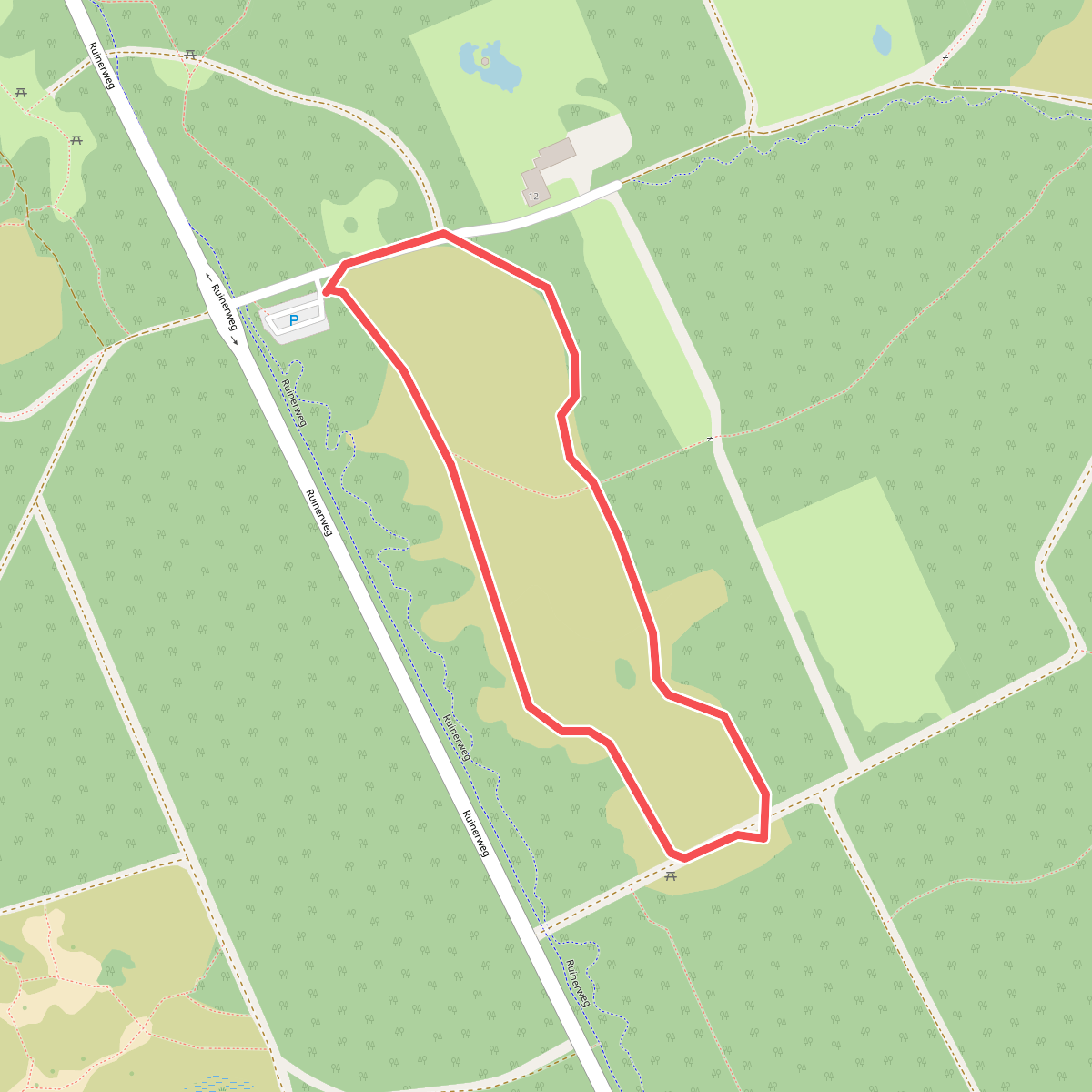 Rondwandeling Ruinen - groen