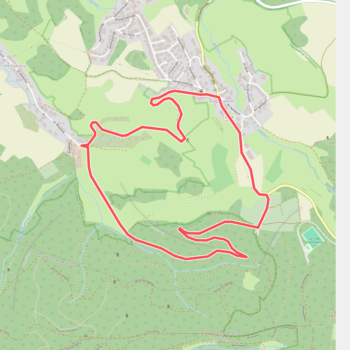 Rundwanderweg Röckelsberg 4: Röckelsberg-Weg