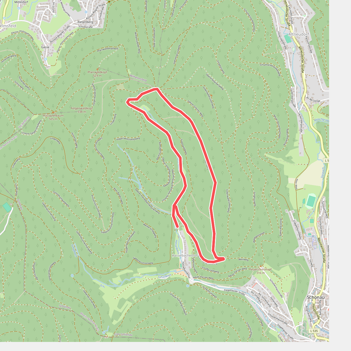 Rundwanderweg Schönau 1: Hasselbach-Weg