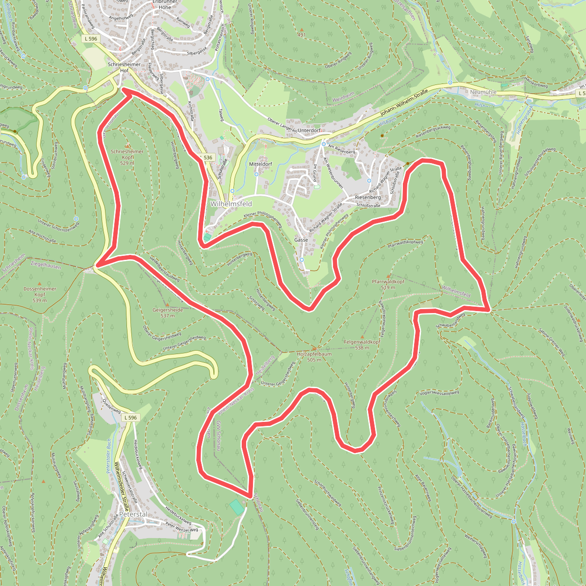 Rundwanderweg Wilhelmsfeld 5: Kameralwald-Weg