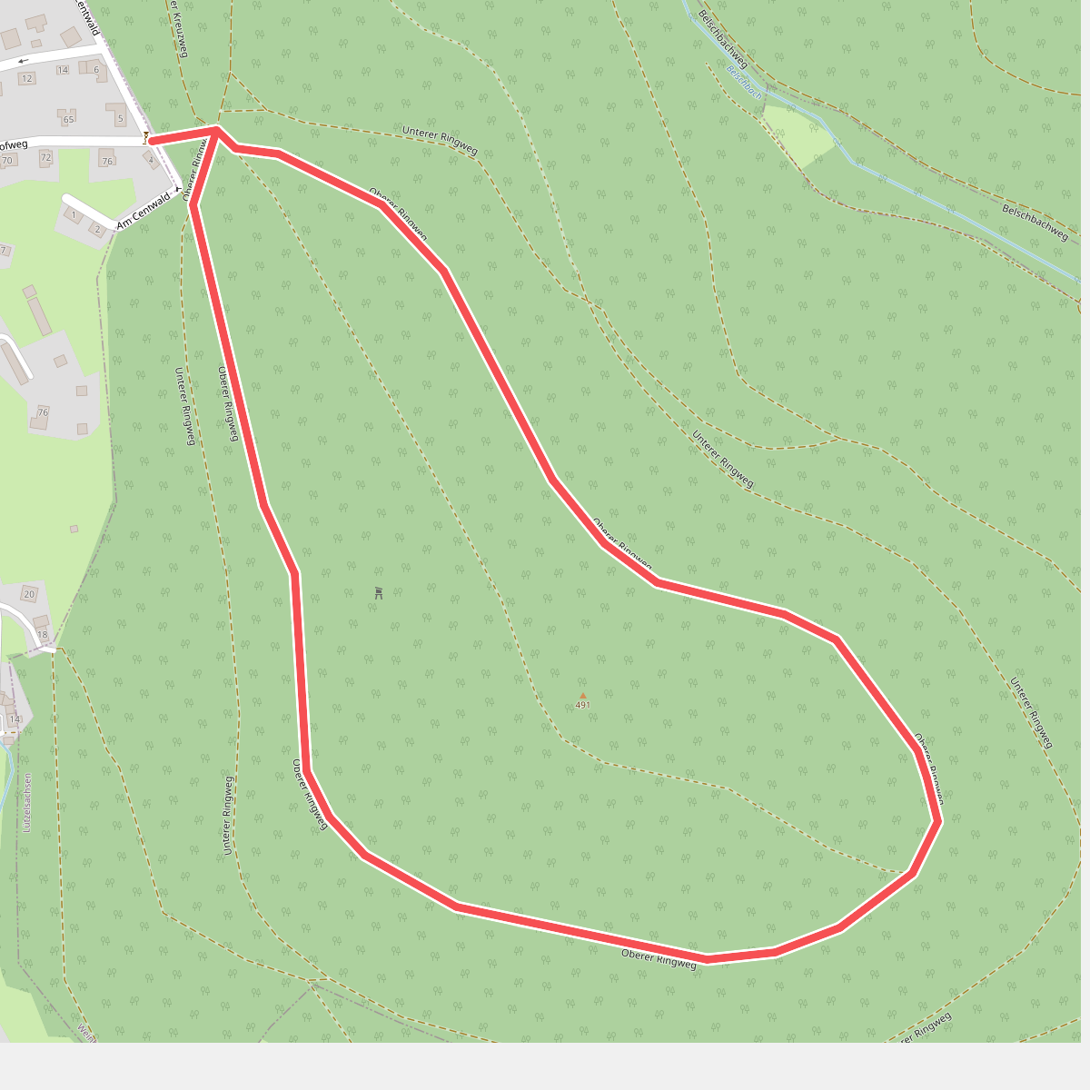 Rundwanderweg Wilhelmsfeld 3: Oberer Centwald-Weg
