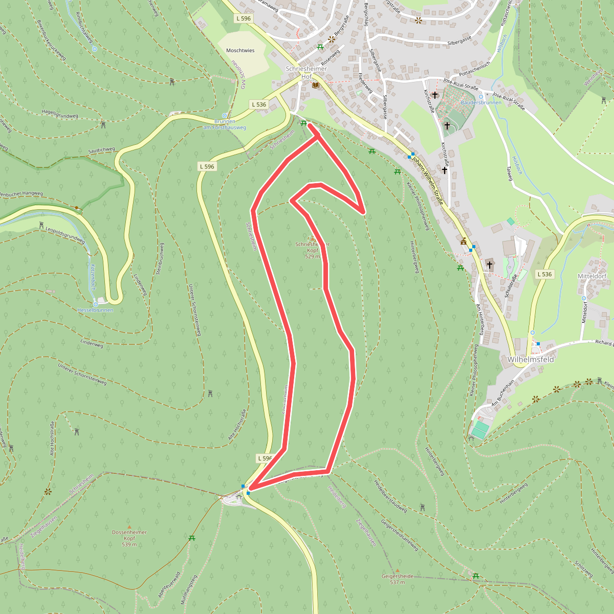 Rundwanderweg Wilhelmsfeld 7: Schriesheimer- Kopf-Weg
