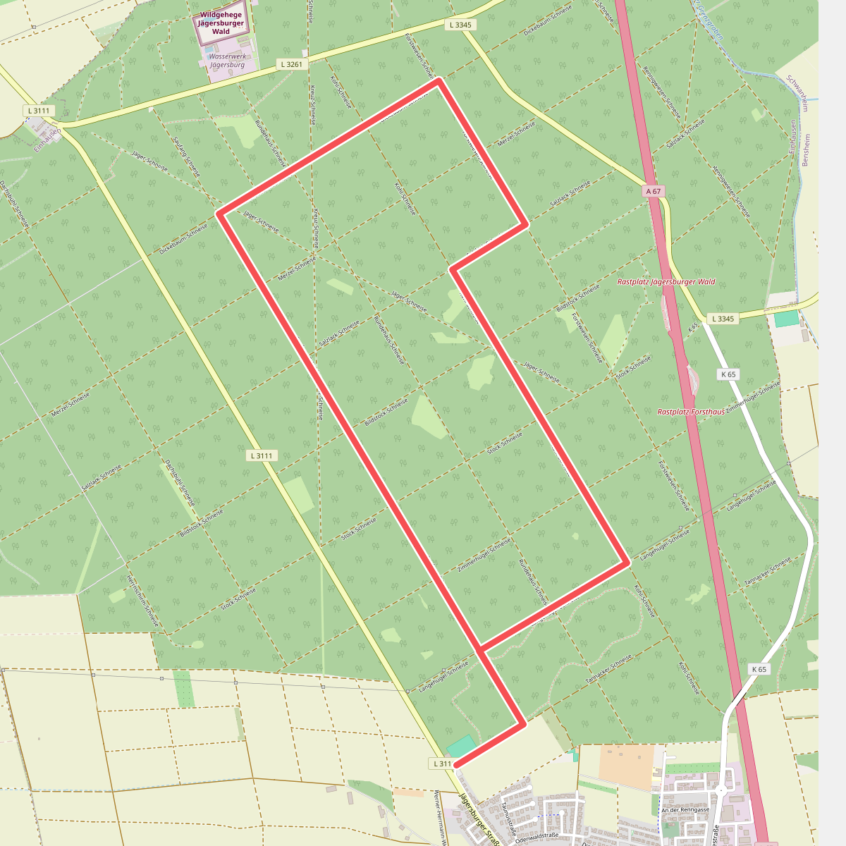 Rundwanderweg Einhausen Junger Wald 2: