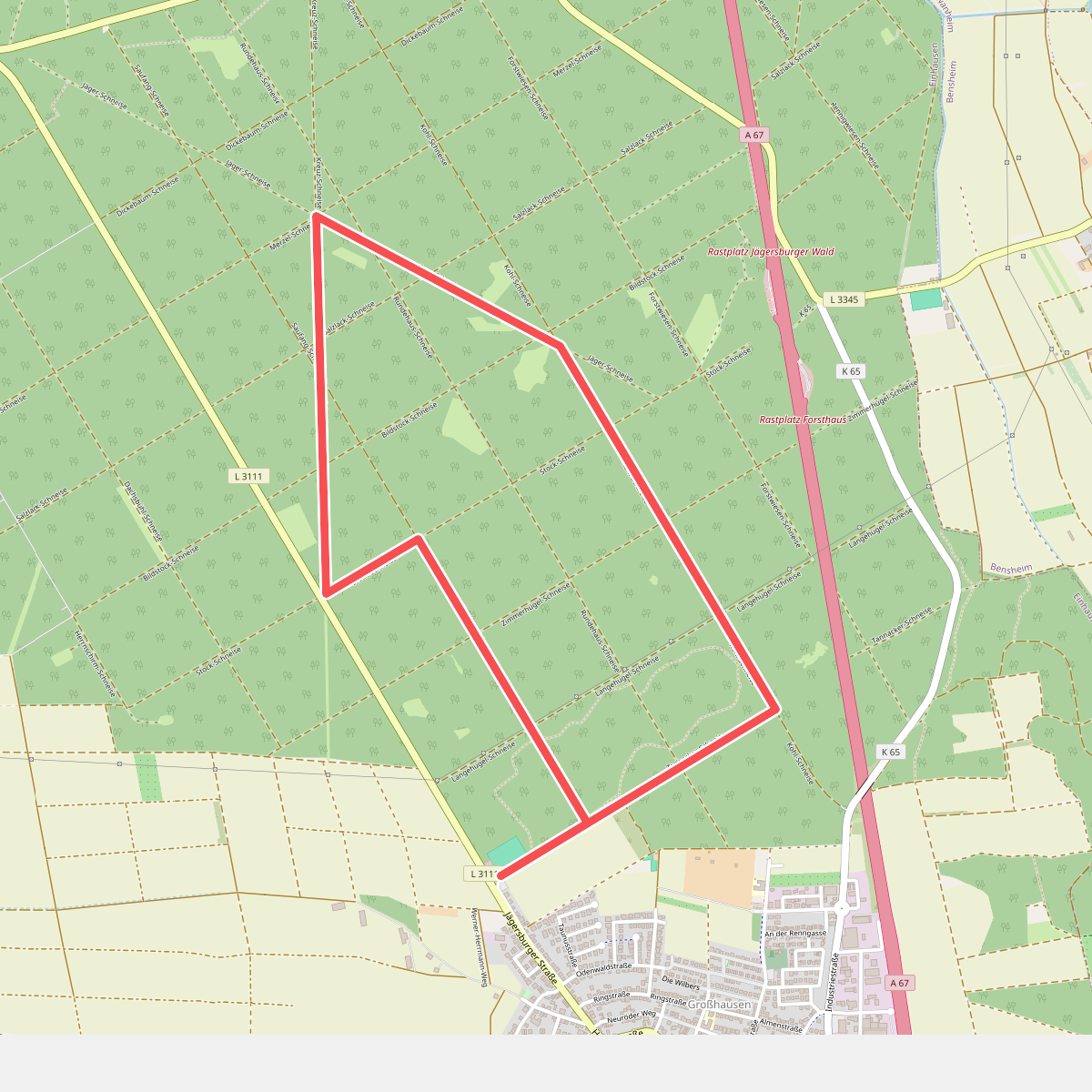 Rundwanderweg Einhausen Junger Wald 3:
