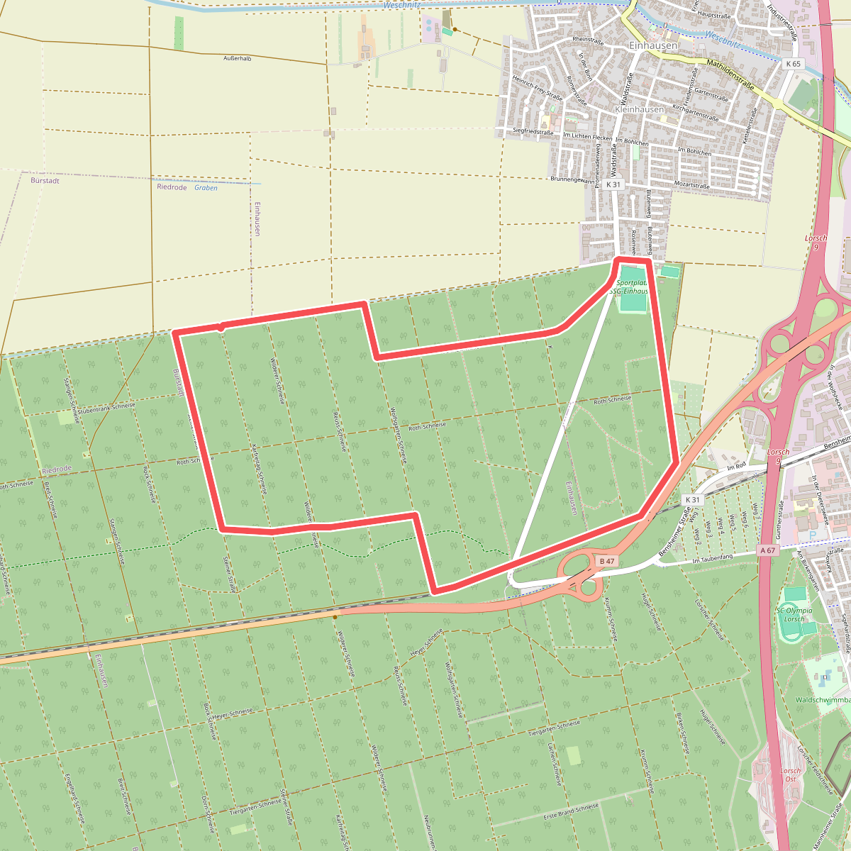 Rundwanderweg Einhausen Wolfshecke 2