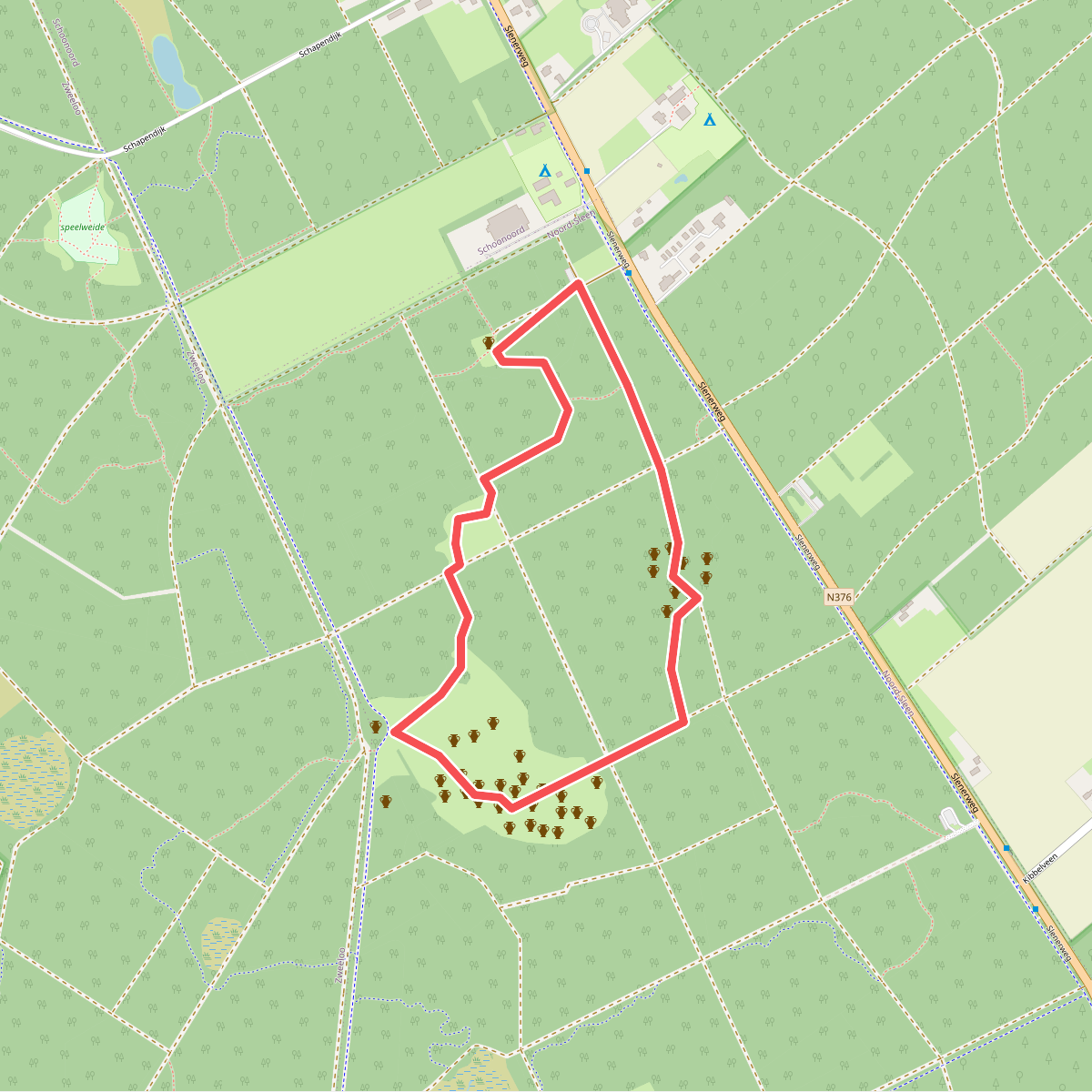 Wandelroute Archeologie Sleenerzand