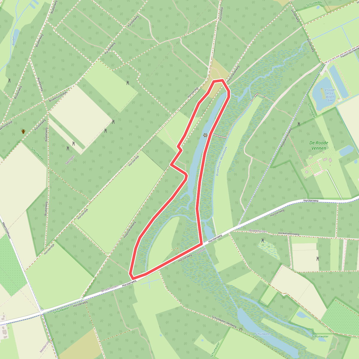 Wandelroute Schuitwater Moerasbos
