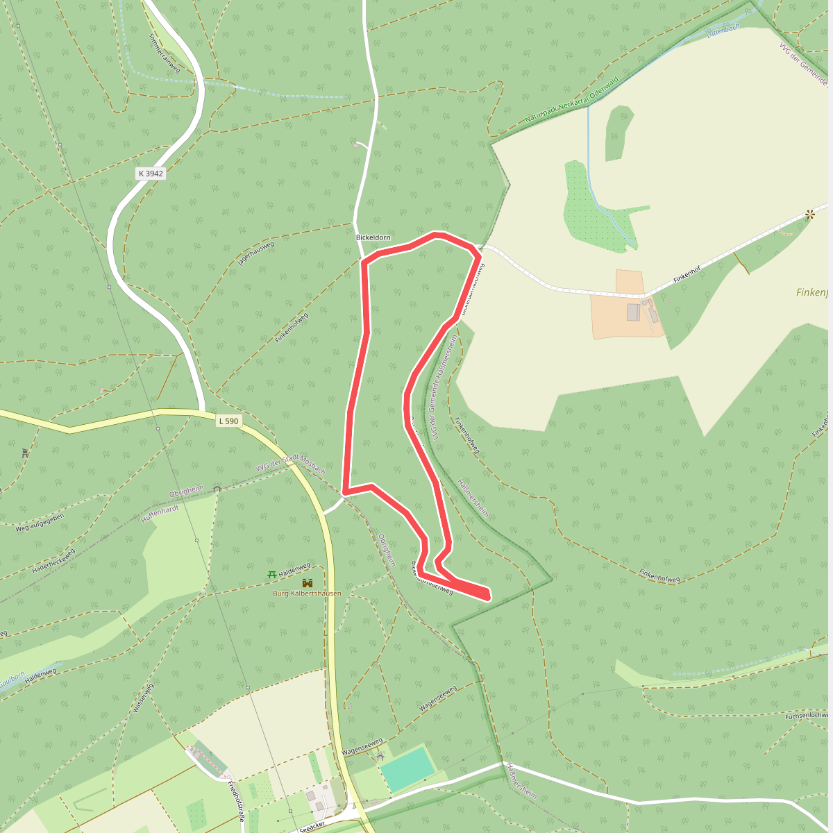 Rundwanderweg Bickeldorn 4: Bickeldorn-Weg