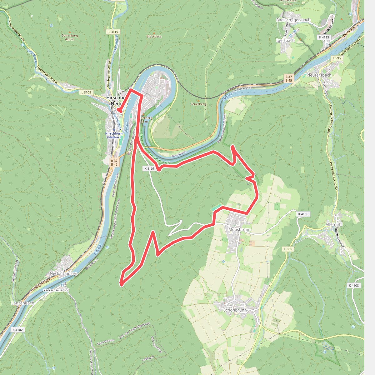Rundwanderweg Hirschhorn 3: Großer Moosbrunn-Weg