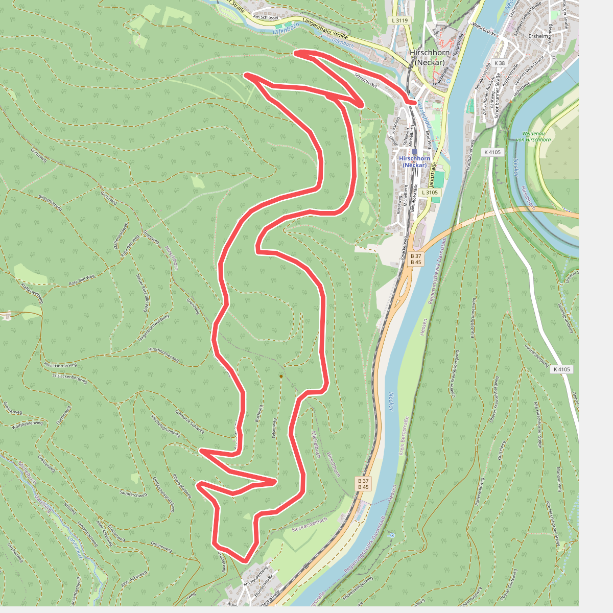 Rundwanderweg Hirschhorn 4: Talskopf-Weg