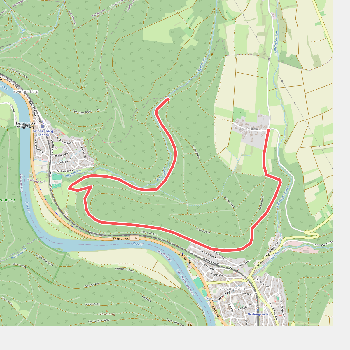 Rundwanderweg 54: Hohwald-Weg