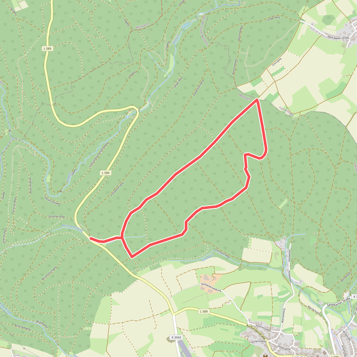 Rundwanderweg Kohlplatte 5: Forstwald-Weg