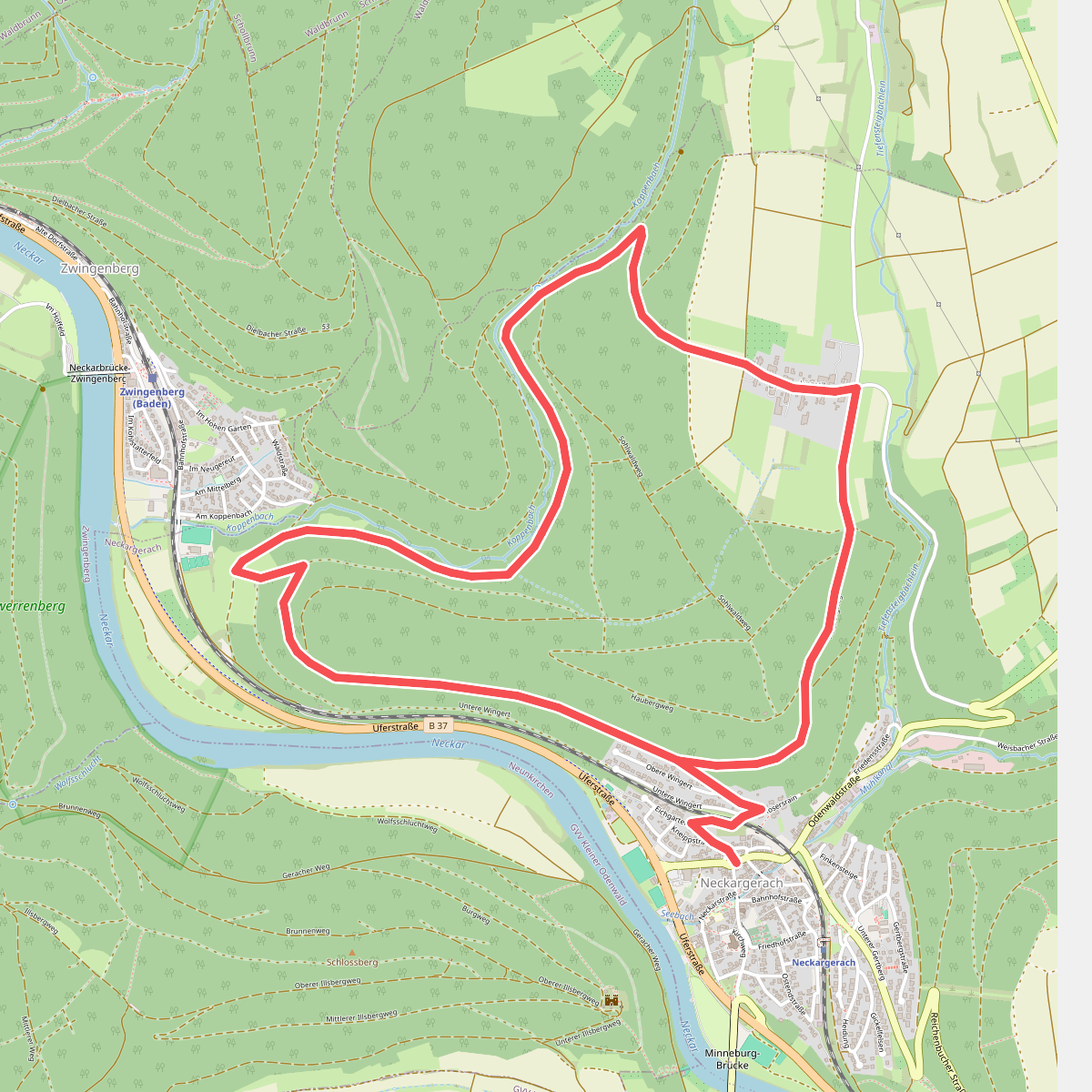 Rundwanderweg Neckargerach 1: Hohwald-Weg