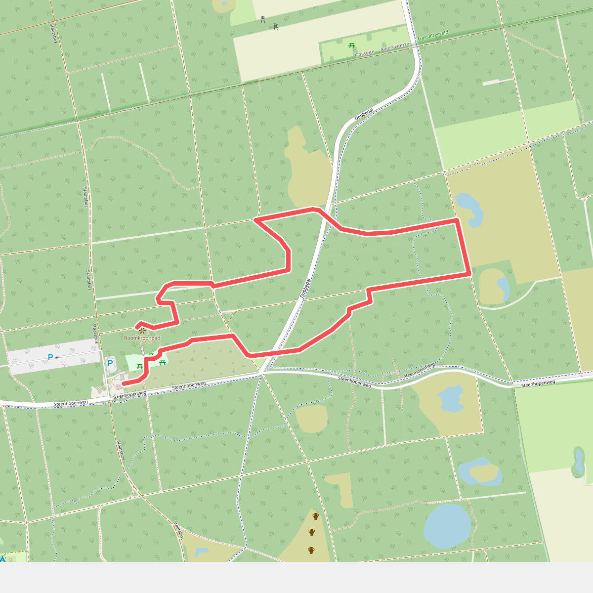 Wandelroute Bomen