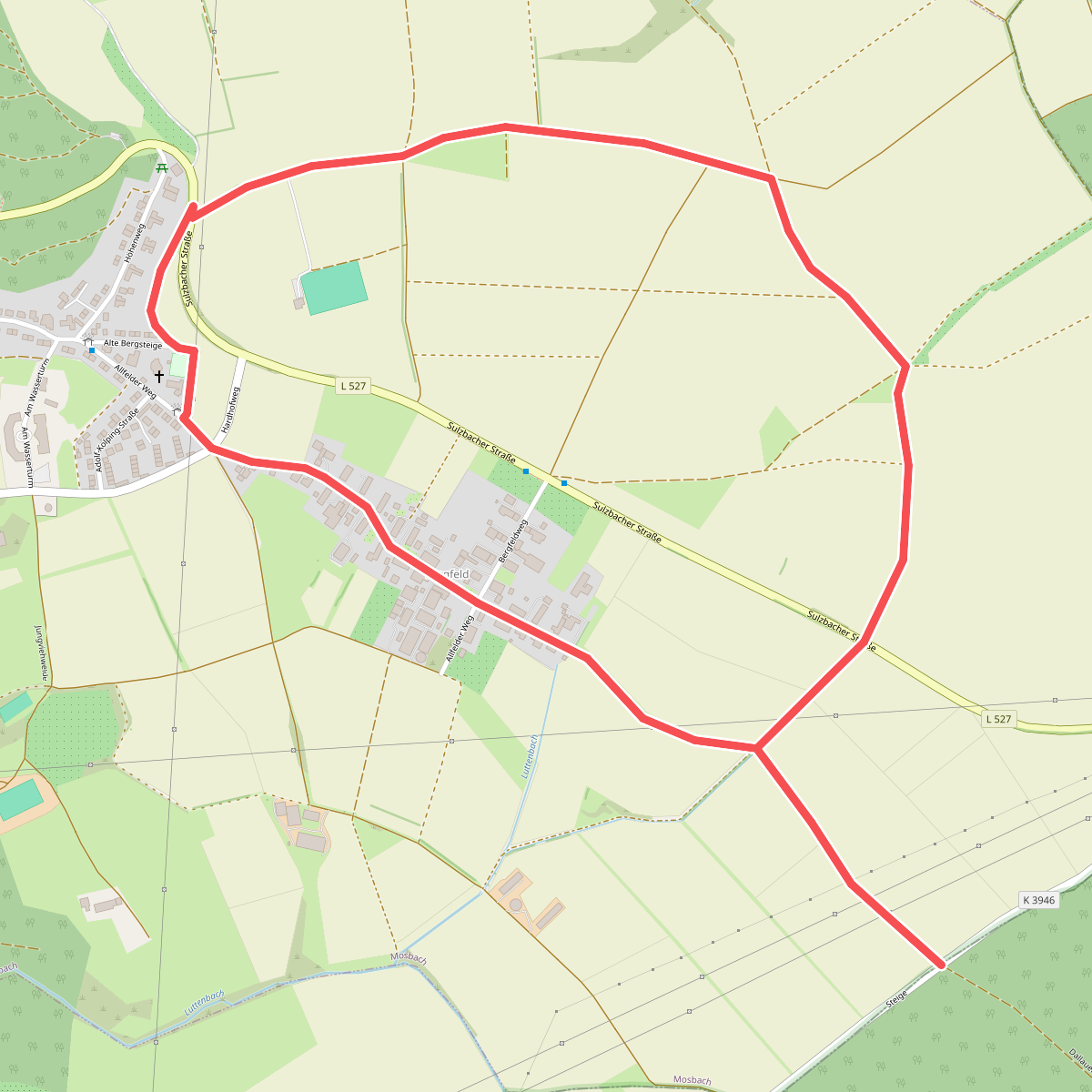 Rundwanderweg Selbachwald 1: Bergfeld-Weg