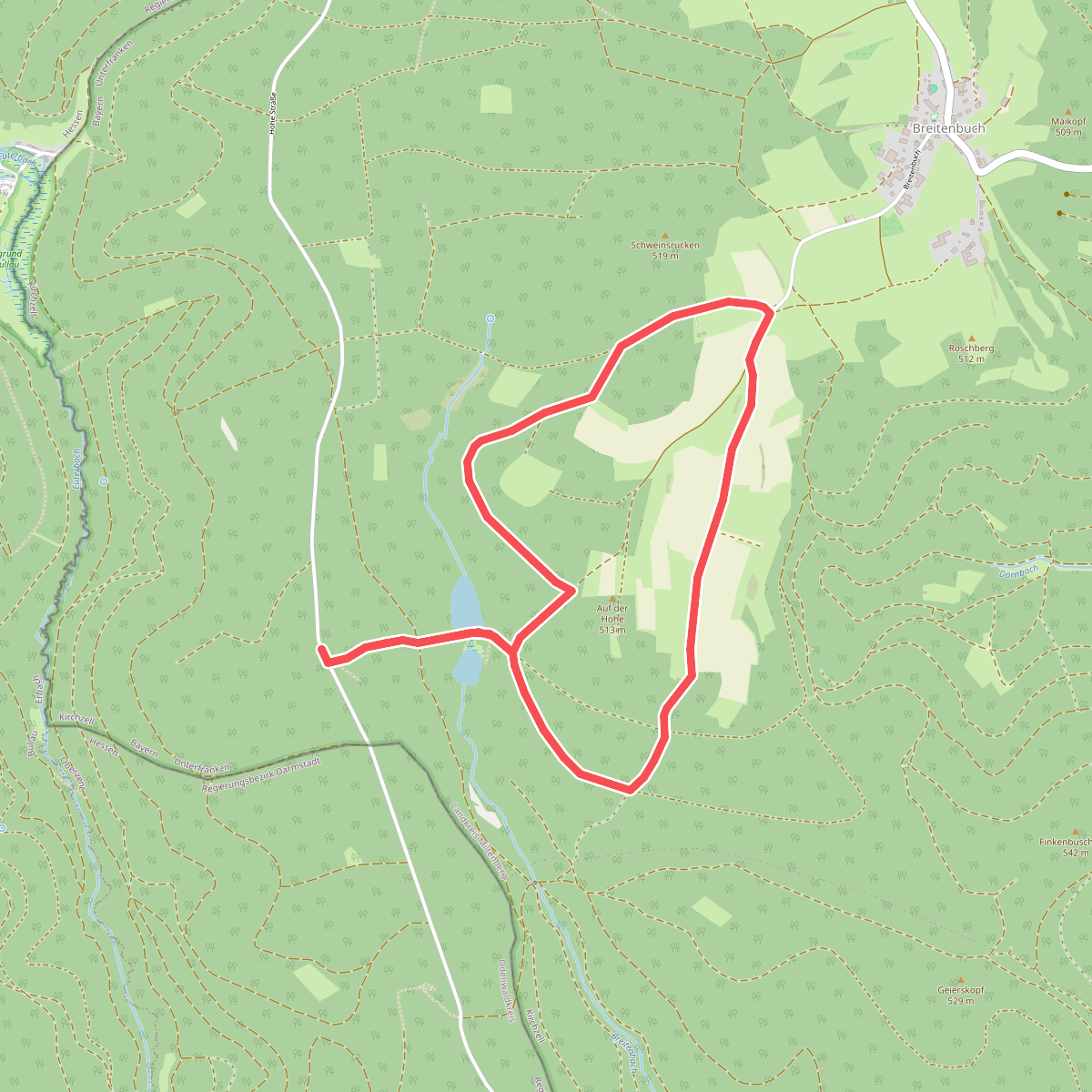 Rundwanderweg Kirchzell Wildschweinfütterung 9: Hainbuche-Weg