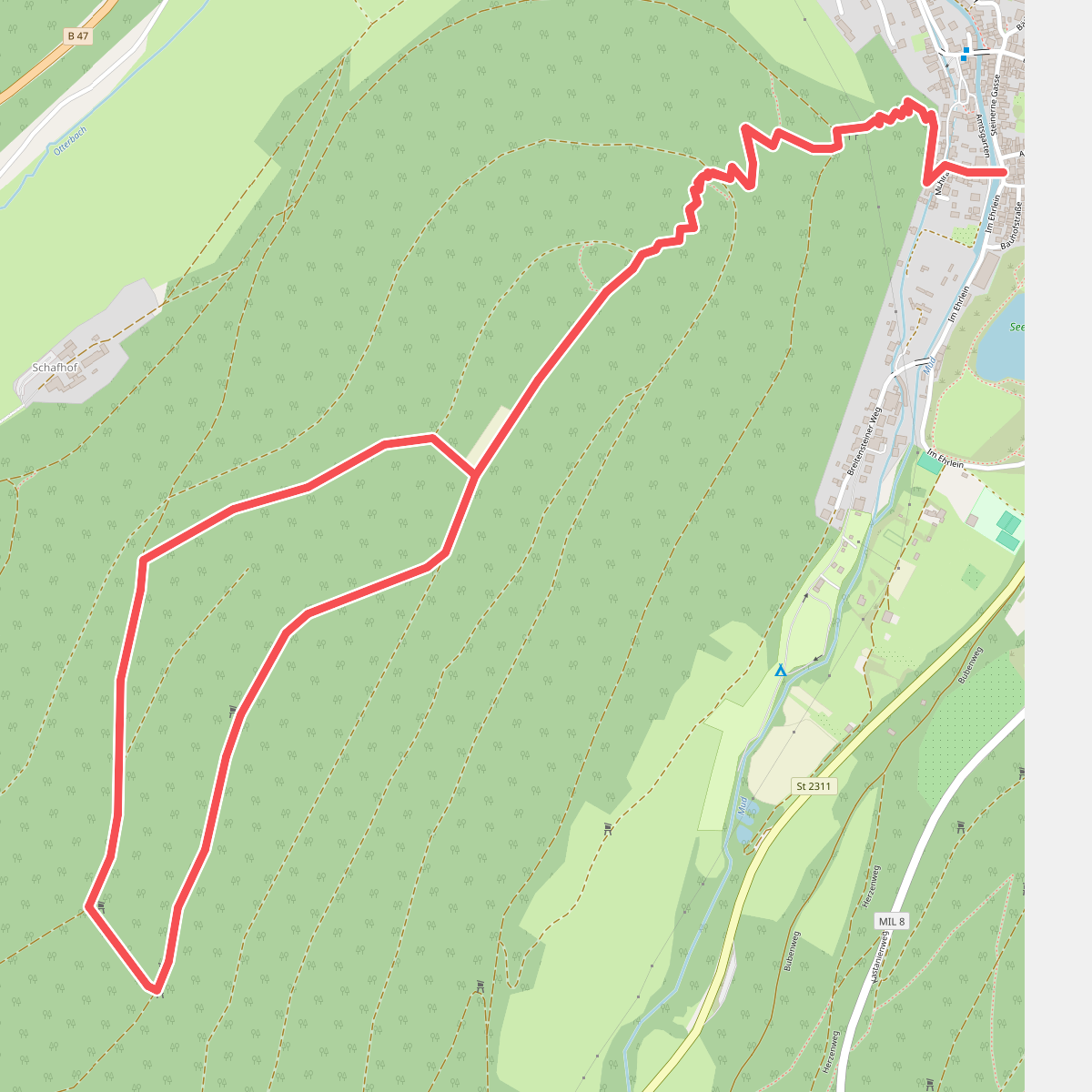 Rundwanderweg Amorbach 6