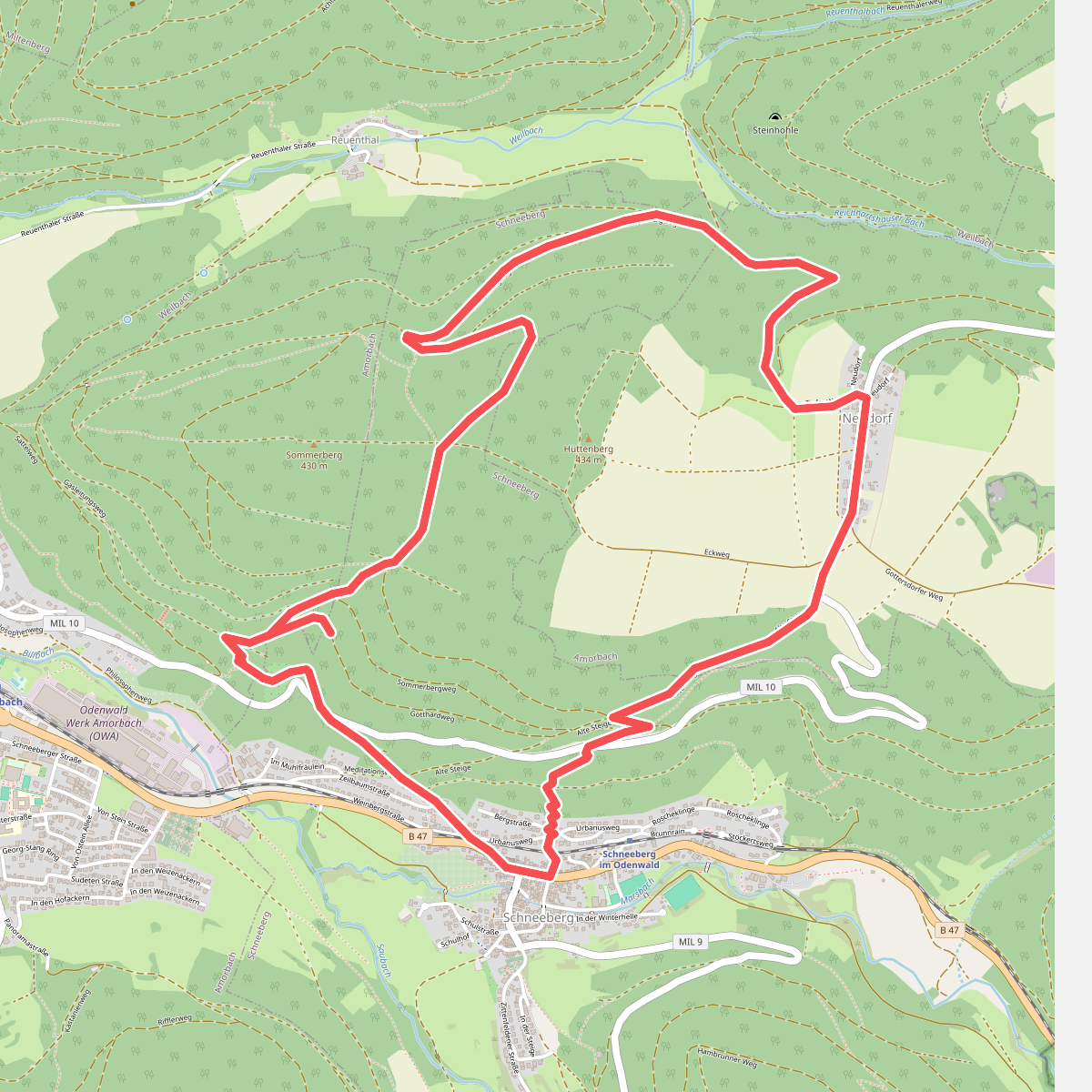 Rundwanderweg Schneeberg 2: Warzenstein-Weg