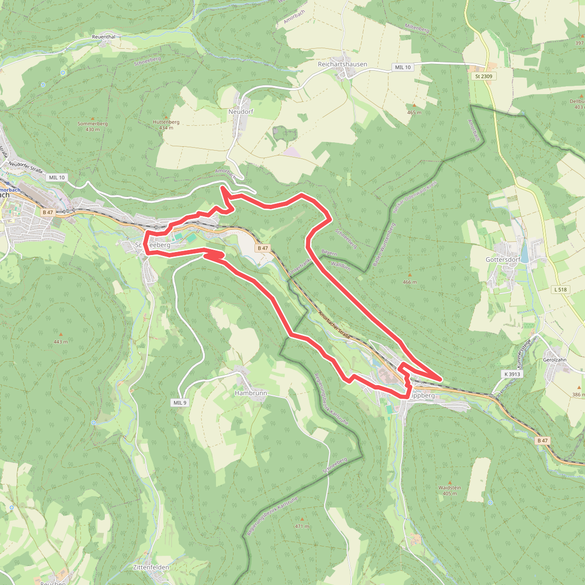 Rundwanderweg Rippberg 3: Schneeberg-Weg