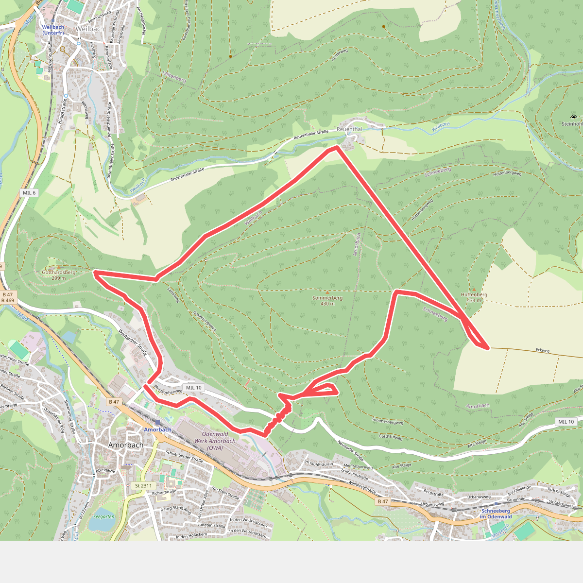Rundwanderweg Amorbach 3