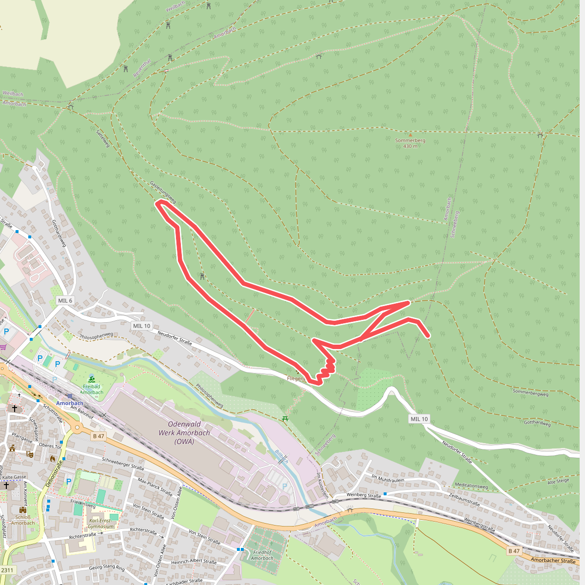 Rundwanderweg Amorbach An der Gotthardsruine 2: Sommer-Berg-Weg