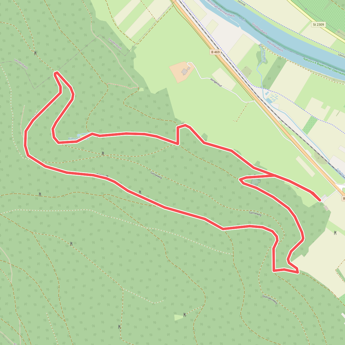 Rundwanderweg Kleinheubach Galgen 2: Birkenheckenweg