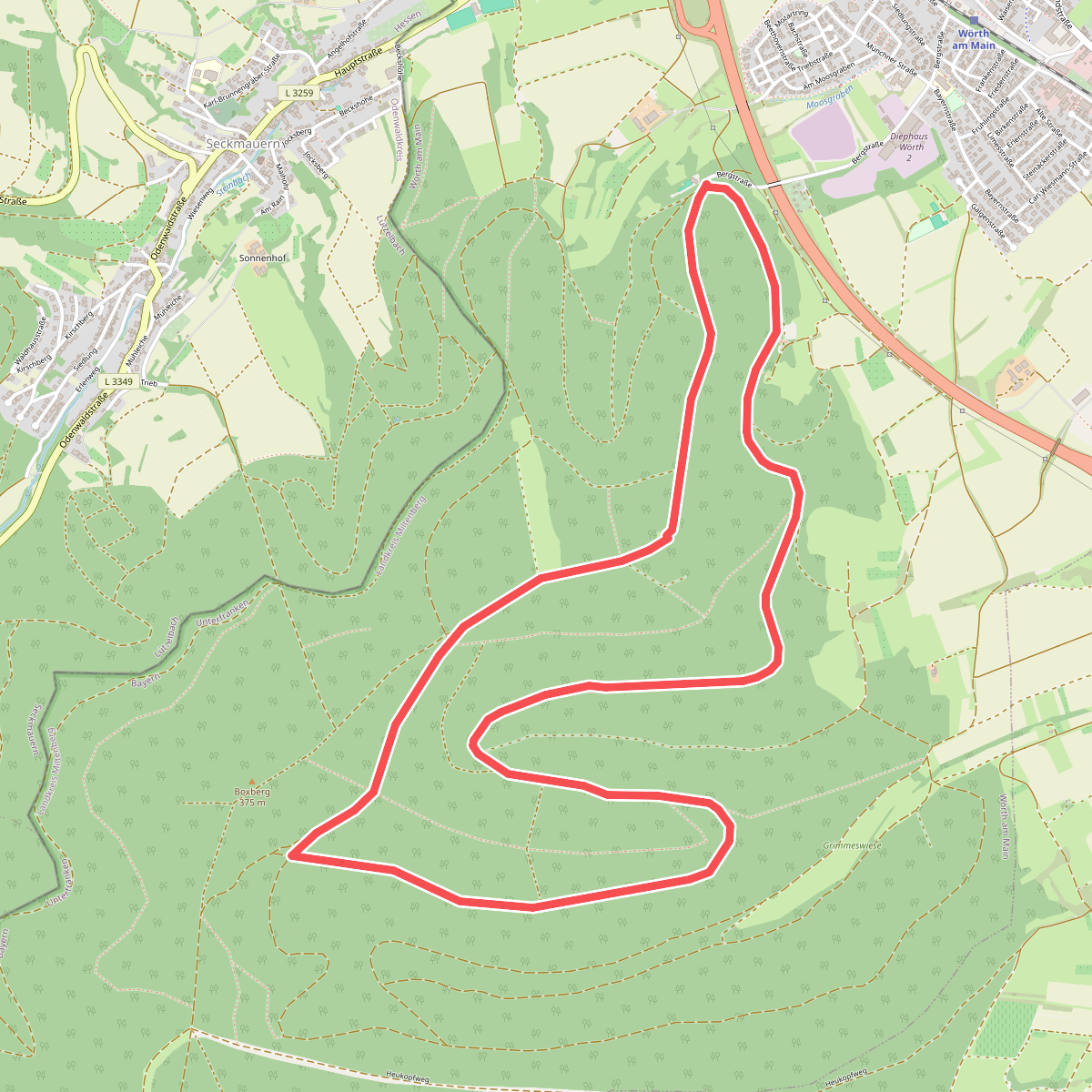 Rundwanderweg Wörth Bocksberg 4: Bettelmanns-Weg