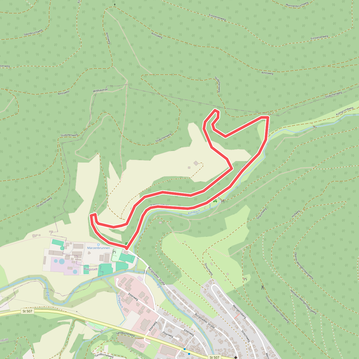 Rundwanderweg Eichenbühl Kohlgrund 1: Haseltrieb-Weg