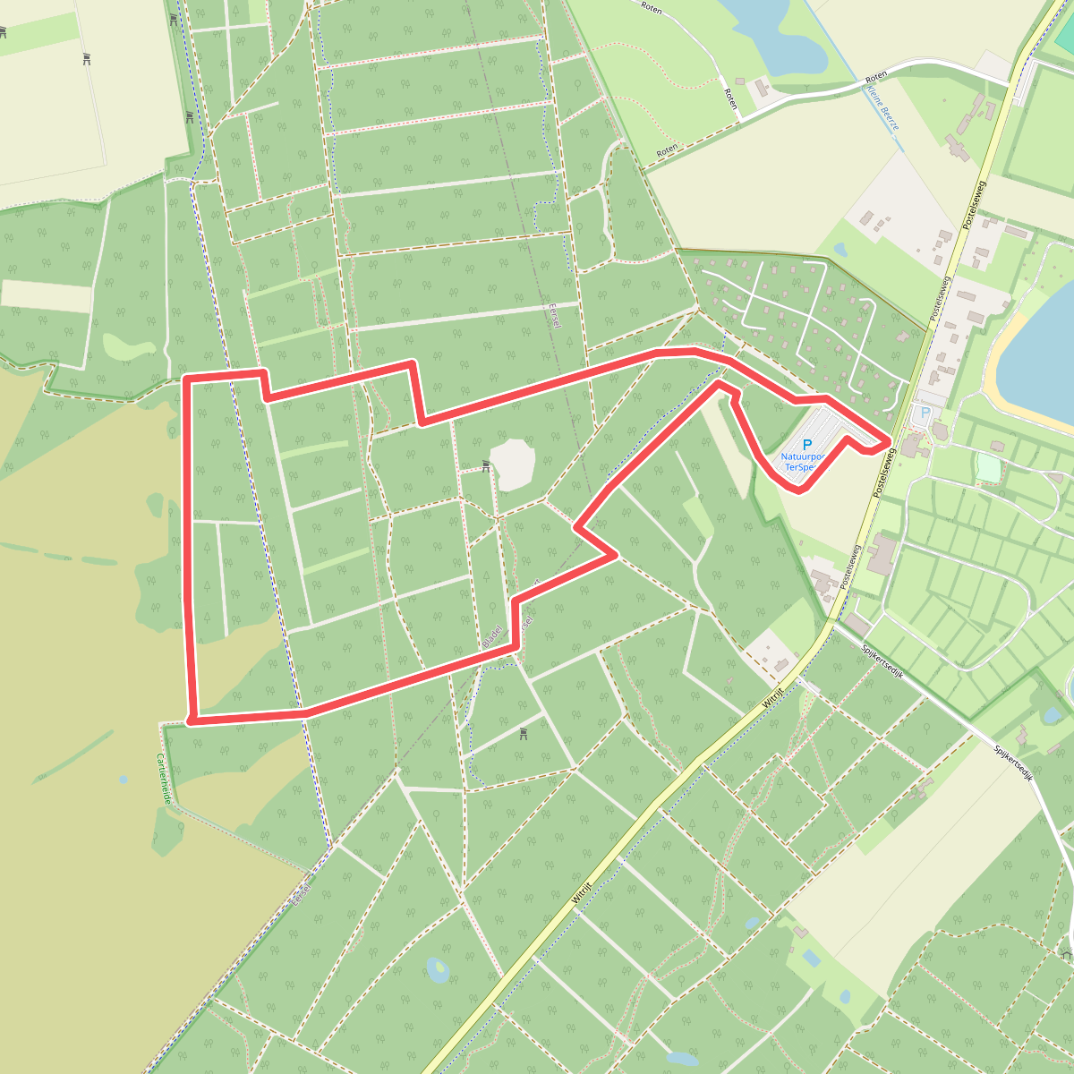 Wandelroute bosbessen en heide 