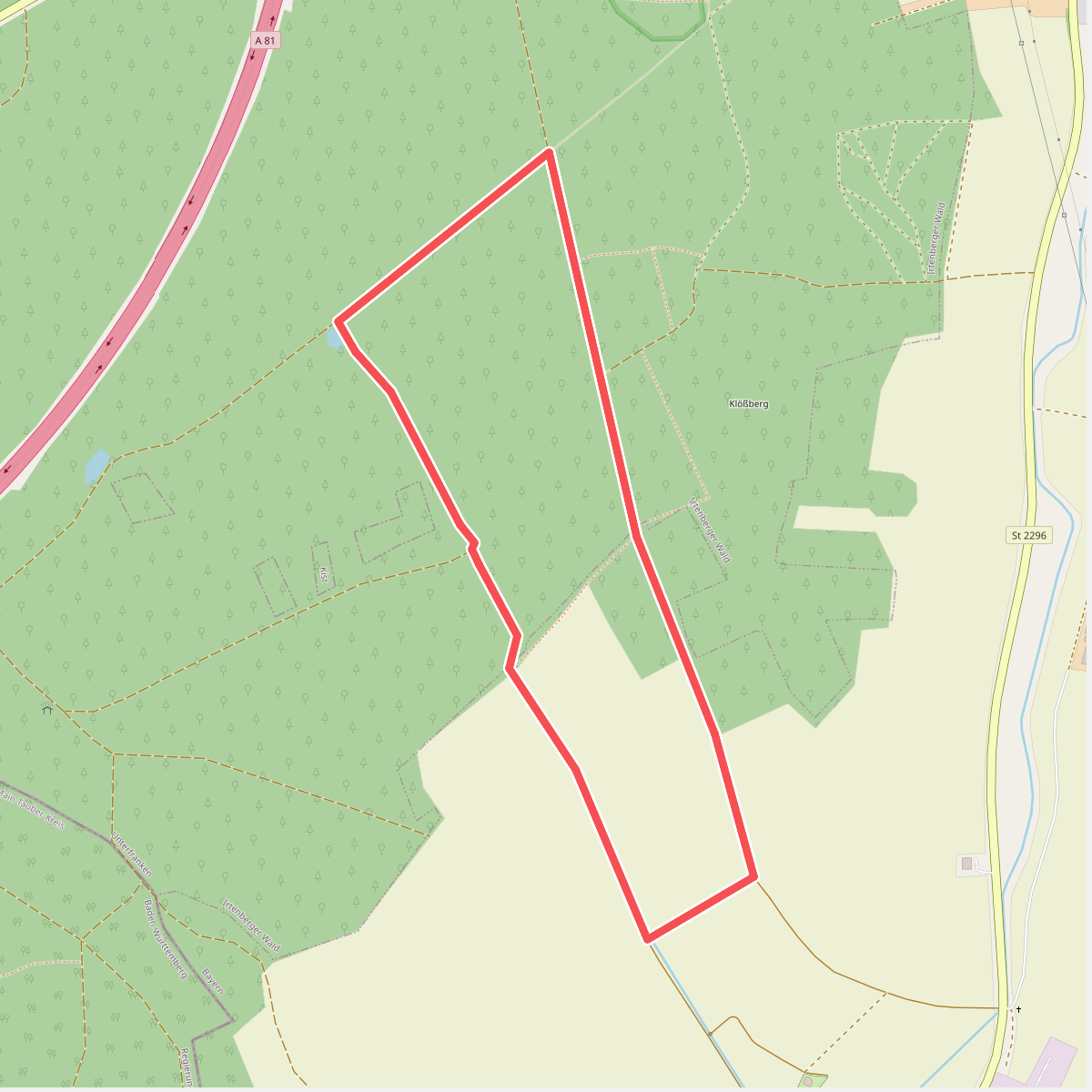 Gelbes Eichhörnchen - Kleinrinderfeld