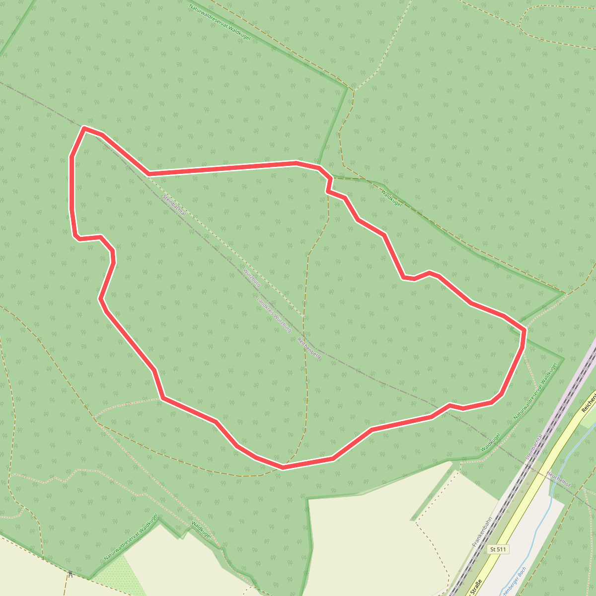 Lehrpfad Naturwaldreservat Waldkugel