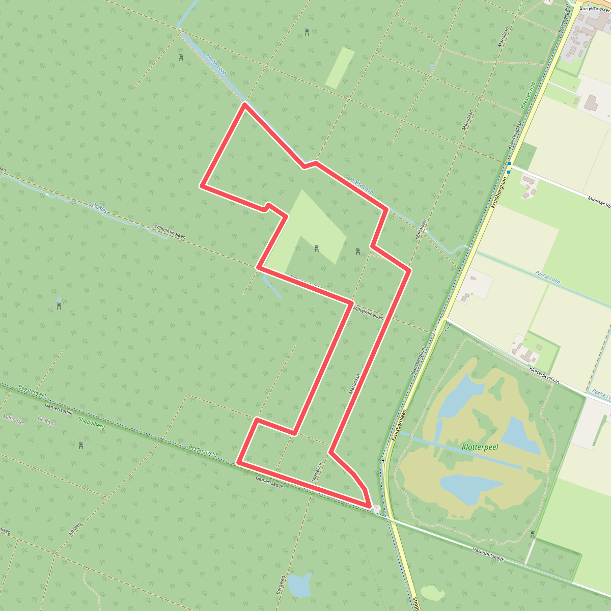 Wandelroute Lanenwandeling Beestenveld
