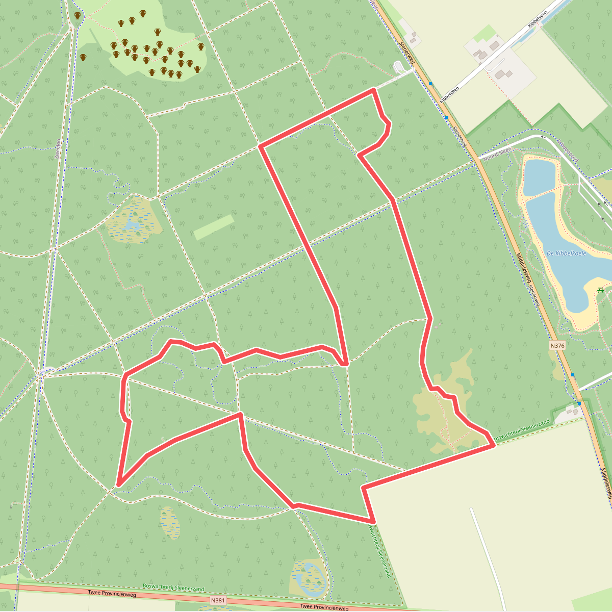 Wandelroute Jeneverbesroute Sleenerzand